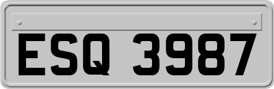 ESQ3987