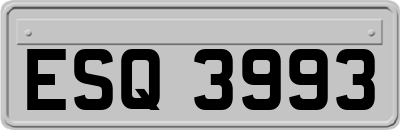 ESQ3993