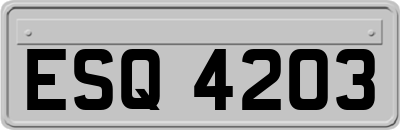 ESQ4203