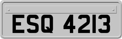 ESQ4213