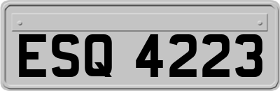 ESQ4223