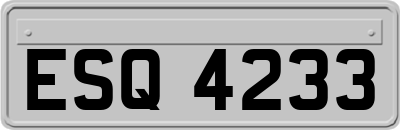 ESQ4233