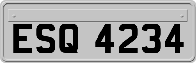 ESQ4234