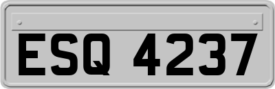ESQ4237