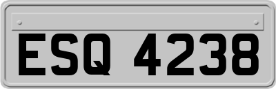 ESQ4238