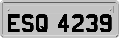 ESQ4239
