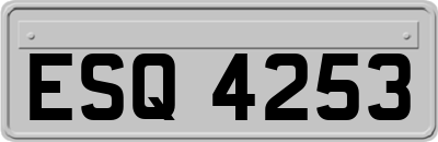 ESQ4253