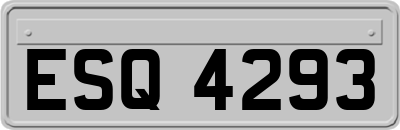 ESQ4293