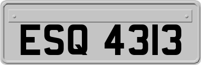 ESQ4313