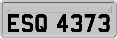 ESQ4373