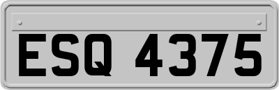 ESQ4375