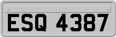 ESQ4387
