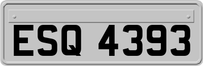 ESQ4393