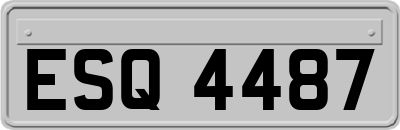 ESQ4487