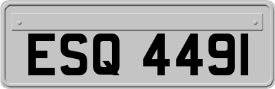 ESQ4491