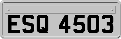 ESQ4503