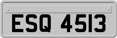 ESQ4513