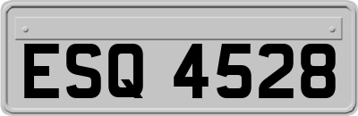 ESQ4528