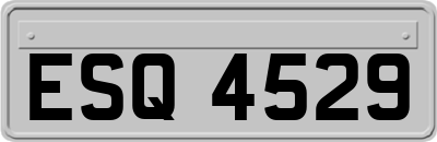 ESQ4529