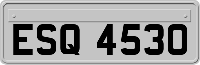 ESQ4530