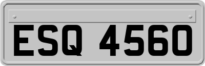 ESQ4560
