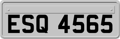 ESQ4565