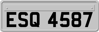 ESQ4587