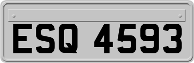 ESQ4593
