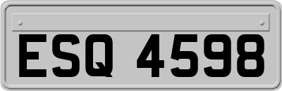 ESQ4598