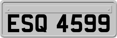 ESQ4599
