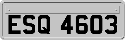 ESQ4603