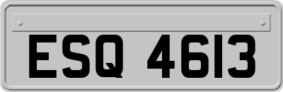 ESQ4613