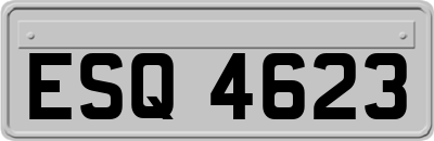 ESQ4623