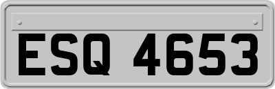 ESQ4653