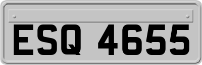 ESQ4655