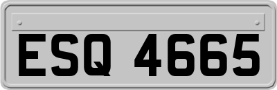 ESQ4665
