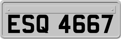 ESQ4667
