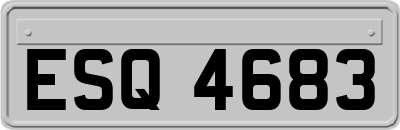 ESQ4683