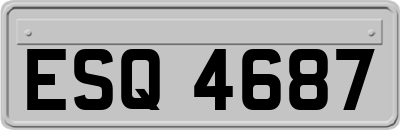 ESQ4687
