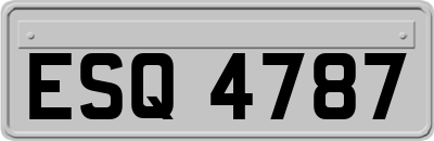 ESQ4787