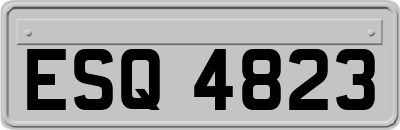 ESQ4823