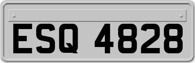 ESQ4828