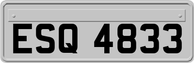 ESQ4833
