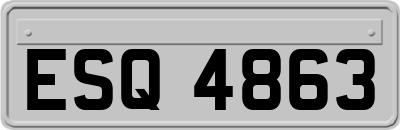 ESQ4863