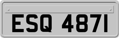 ESQ4871