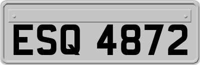 ESQ4872