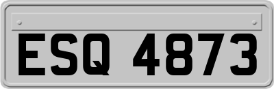 ESQ4873
