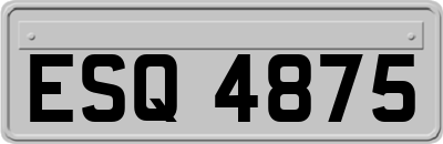 ESQ4875