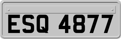 ESQ4877