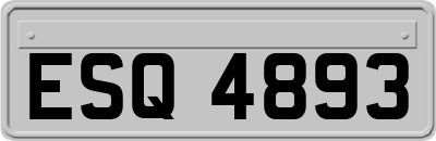 ESQ4893